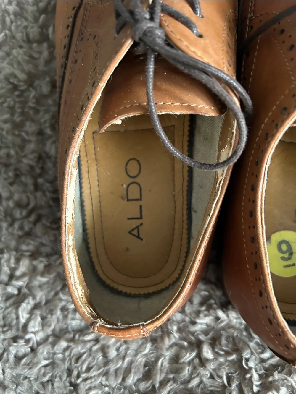 Aldo Tan Leather Wingtip Oxfords